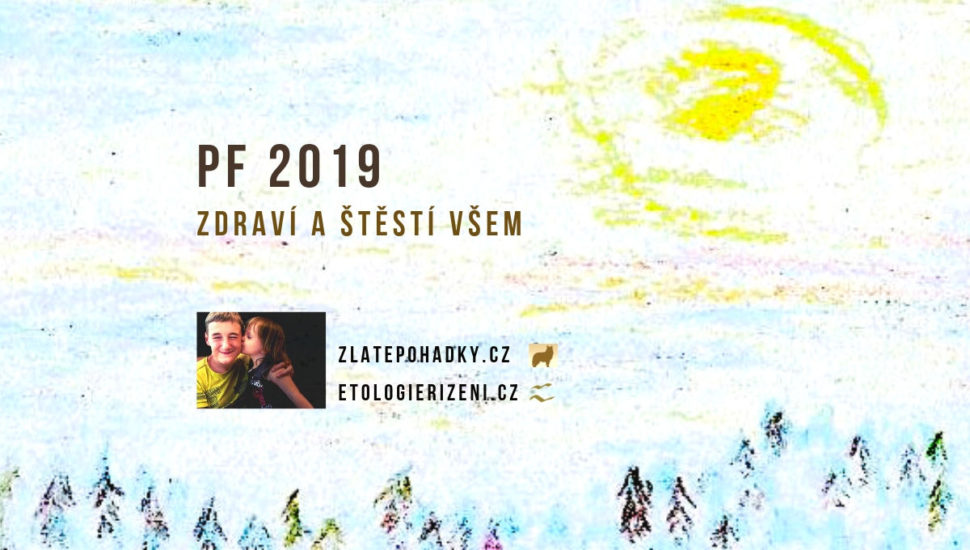 Štěstí a zdraví do roku 2019